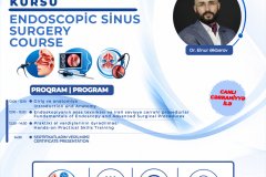 endoskopik-sinus-cerrahiyyesi